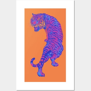 Cyberpunk Neon Pink and Blue Tiger Posters and Art